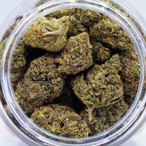 Buy Jack Herer at The High Times Cannabis Dispensary