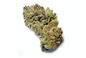 Since the legalization of cannabis for medicinal use, there has been an increase in the roster of cannabis strains in Bangkok. One strikingly delicious strain available in weed dispensaries in Thailand is the Banana OG strain.